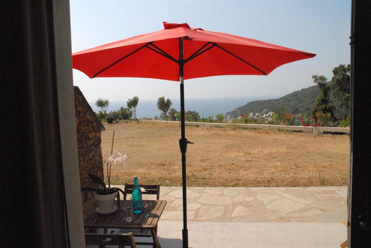 Appartement vue sur mer Santa-Maria-di-Lota Extérieur photo