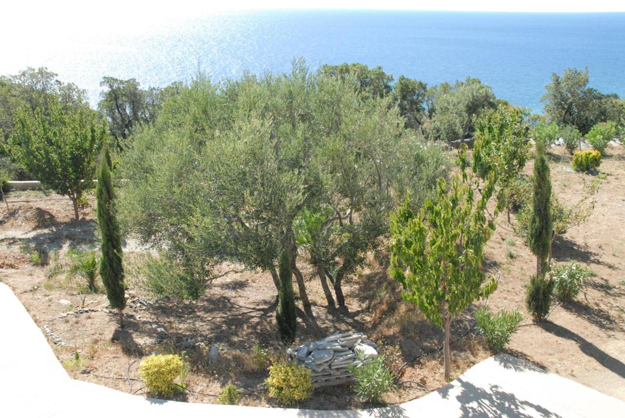 Appartement vue sur mer Santa-Maria-di-Lota Extérieur photo