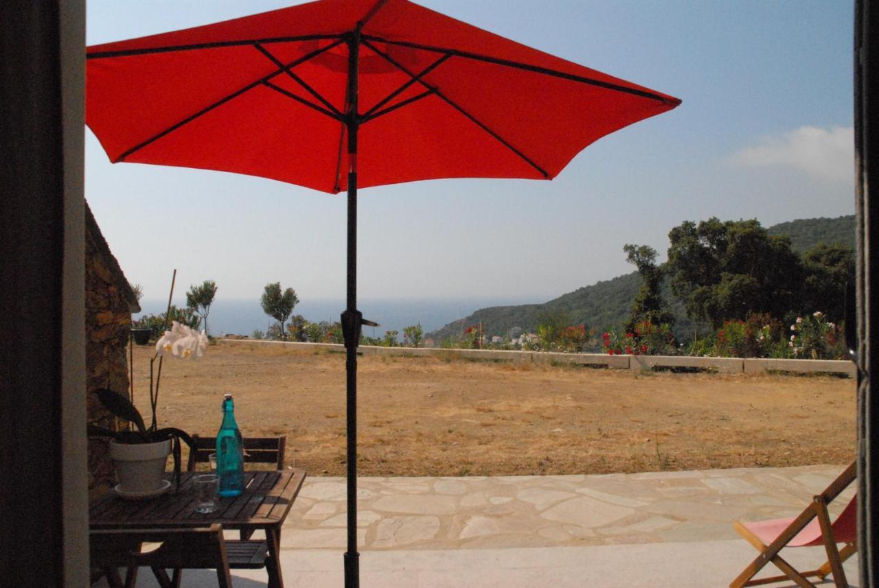 Appartement vue sur mer Santa-Maria-di-Lota Extérieur photo