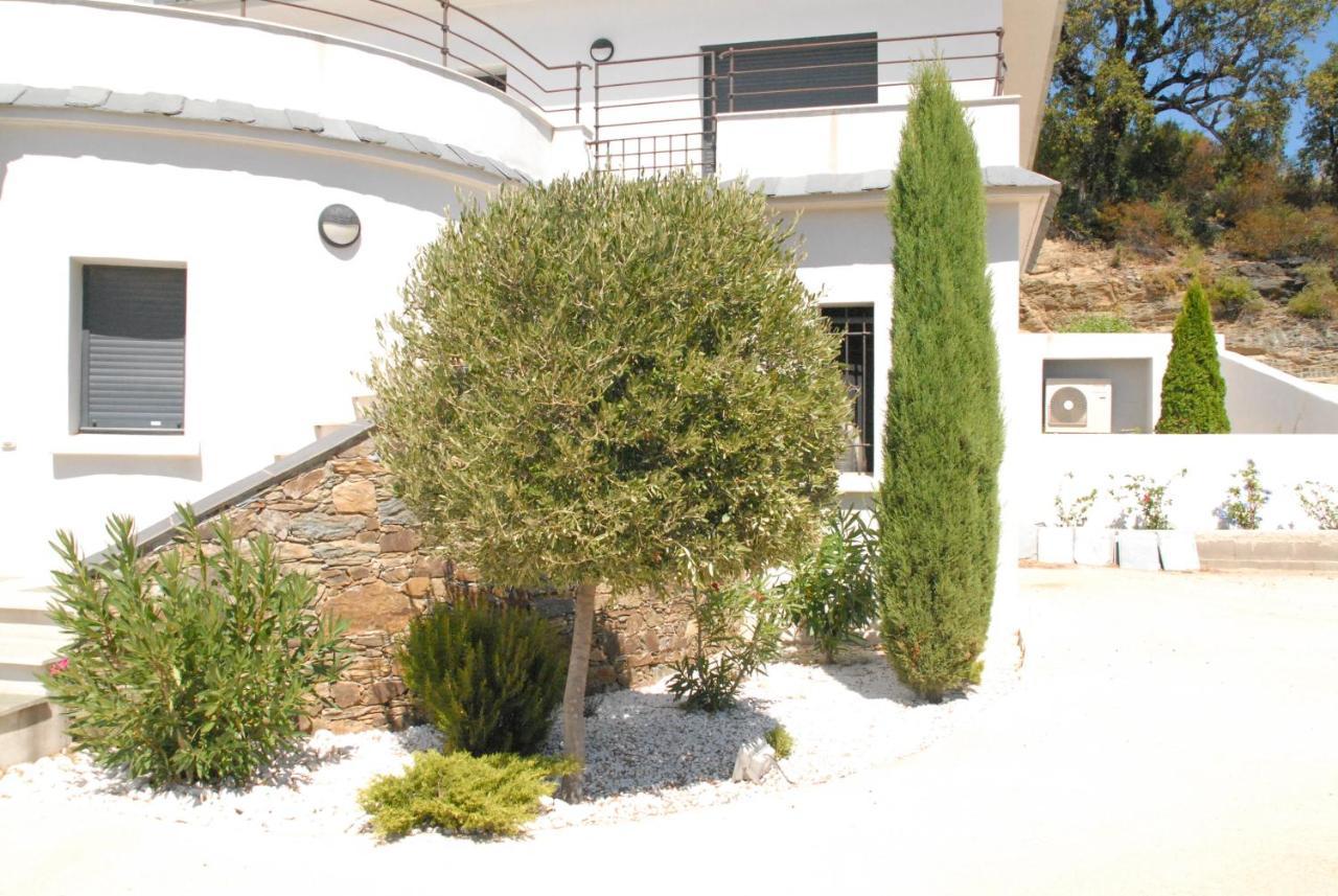 Appartement vue sur mer Santa-Maria-di-Lota Extérieur photo